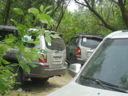 exp-zr-2009 289
